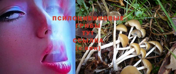 спиды Дмитров